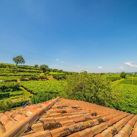 Agriturismo Corte Albarel Кастельнуово-дель-Гарда Екстер'єр фото