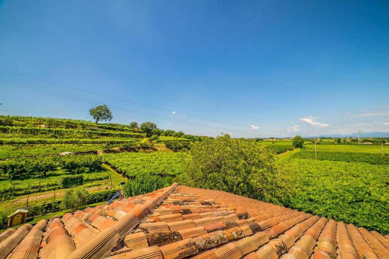 Agriturismo Corte Albarel Кастельнуово-дель-Гарда Екстер'єр фото